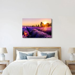 Obraz levanduľového poľa (90x60 cm)