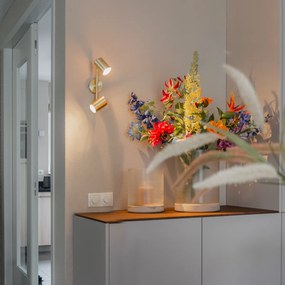 Moderné stropné svietidlo mosadzné 2-žiarovkové nastaviteľné - Jeana