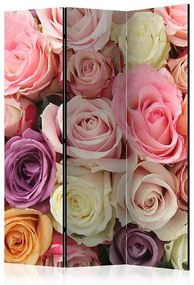 Paraván - Pastel roses [Room Dividers] Veľkosť: 135x172, Verzia: Obojstranný