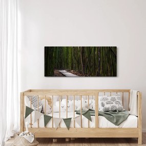 Obraz - Medzi bambusy (120x50 cm)