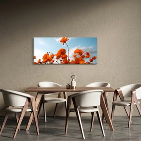 Obraz - Lúčne kvety (120x50 cm)