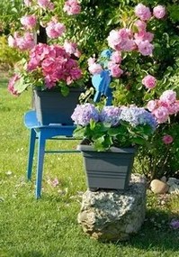Plastia Kvetináč Begonia 60 x 60, antracit
