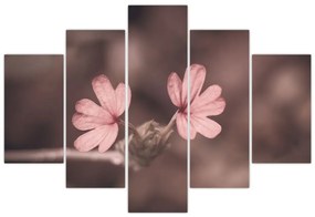Obraz ružového kvetu (150x105 cm)
