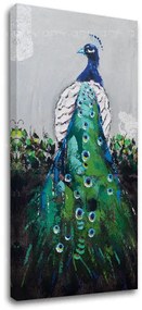 Obraz na plátne PÁV 60x120 cm