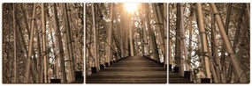 Obraz na plátne - Drevená promenáda v bambusovom lese - panoráma 5172FB (120x40 cm)