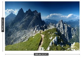 Fototapeta Vliesová Alpy slovinsko 312x219 cm