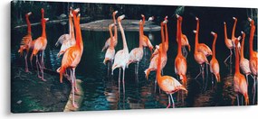 Obraz stádo plameniakov (120x50 cm)