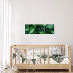 Obraz - Zelené listy (s hodinami) (90x30 cm)