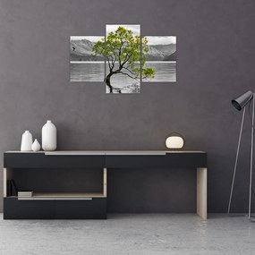 Obraz stromu uprostred jazera (90x60 cm)
