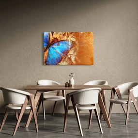 Obraz - Modrý motýľ (90x60 cm)
