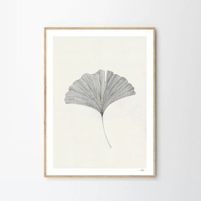 Moikka Plagát Ginkgo Leaf by Ana Frois 50x70 cm