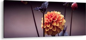 Obraz - Kvietok (120x50 cm)