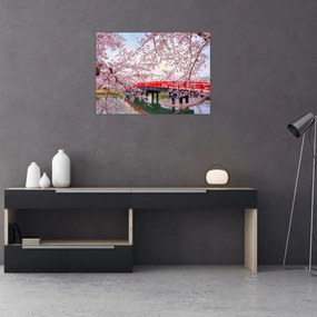 Sklenený obraz - Hirosaki, Japonsko (70x50 cm)