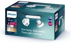 Philips 50602/31/P0 - LED Bodové svietidlo BUKKO 2xLED/4,5W/230V