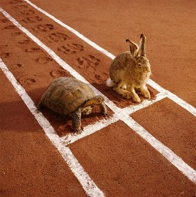 Umelecká fotografie TORTOISE AND HARE ON TRACK, GK Hart/Vikki Hart, (40 x 40 cm)