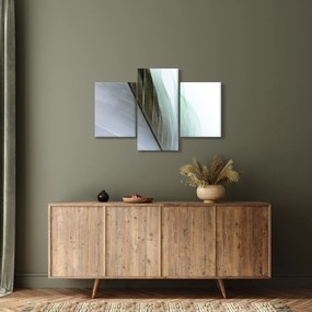 Obraz - Perie, makro (90x60 cm)