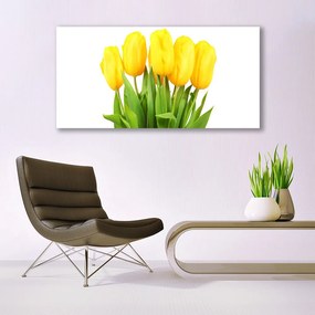 Obraz plexi Tulipány kvety rastlina 120x60 cm