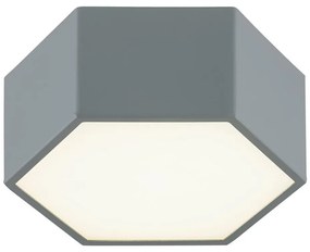 Argon 8784 - LED Stropné svietidlo LIBERO LED/12W/230V 3000K šedá