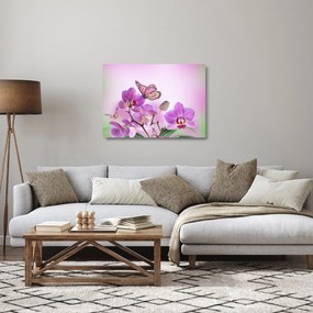 Sklenený obraz - Motýľ na kvetoch orchidey, lila (70x50 cm)
