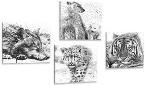 Set obrazov zvieratá v čiernobielom akvarelovom prevedení Varianta: 4x 60x60