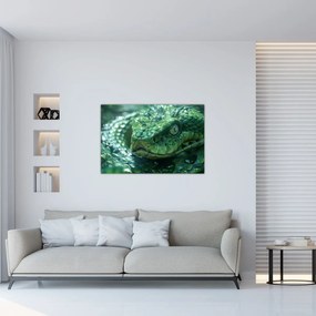 Obraz - Portrét hada (90x60 cm)