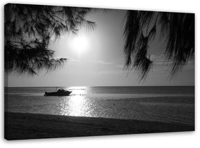 Obraz na plátně Sea Palms Black and White - 60x40 cm