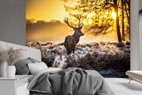 Gario Fototapeta Jeleň v hmle Materiál: Vliesová, Rozmery: 400 x 280 cm
