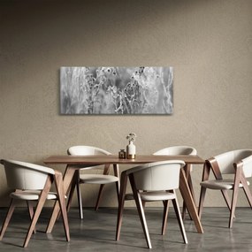Obraz - Divoká lúka (120x50 cm)