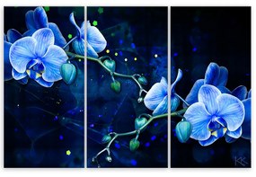 Obraz na plátně třídílný, Modrý orchidej - 60x40 cm
