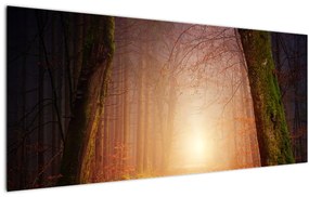 Obraz jesenného lesa v hmle (120x50 cm)