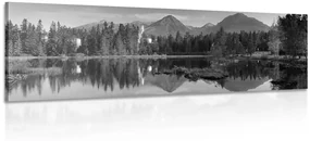Obraz nádherná panoráma hôr pri jazere v čiernobielom prevedení