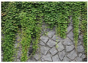Artgeist Fototapeta - Green wall Veľkosť: 294x210, Verzia: Samolepiaca