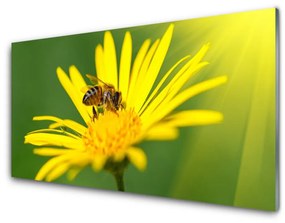 Obraz plexi Osa kvet rastlina príroda 125x50 cm