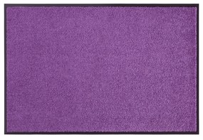 Hanse Home Collection koberce Rohožka Wash & Clean 103838 Violett - 60x90 cm