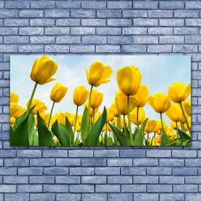 Obraz plexi Tulipány kvety rastlina 120x60 cm