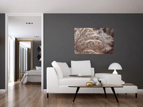 Obraz rastlín (90x60 cm)