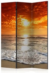 Paraván - Marvelous sunset [Room Dividers] Veľkosť: 135x172, Verzia: Obojstranný