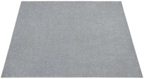 Koberec New Montego 173 sivý