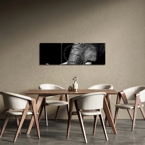 Obraz - Slonie kly (s hodinami) (90x30 cm)