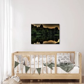 Obraz jazera pri lese (70x50 cm)