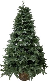 Zelený vianočný jedľový strom v kvetináči so svetielkami Fleur Tree - 139*210 cm