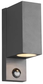 Nástenné vonkajšie svietidlo (výška 22 cm) Roya - Trio