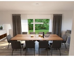 LED2 - LED Luster na lanku CIRCLE LED/42W/230V