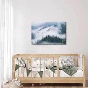 Obraz - Stromy v hmle (90x60 cm)