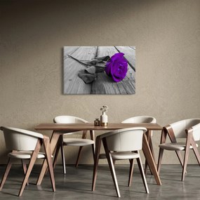 Obraz - Fialová ruža so zelenou stonkou (90x60 cm)