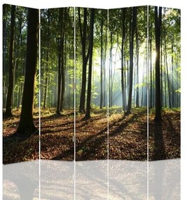Gario Paraván Slnečné lúče v lese Rozmery: 180 x 170 cm, Prevedenie: Otočný paraván 360°