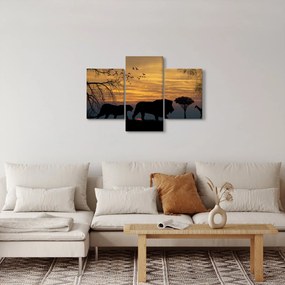 Obraz Safari (90x60 cm)