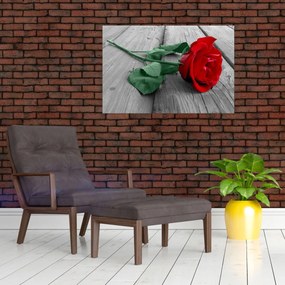 Obraz - Červená ruža so zelenou stonkou (90x60 cm)
