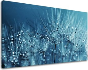 Obraz na stenu KVETY KV085E11 - 30x40 cm