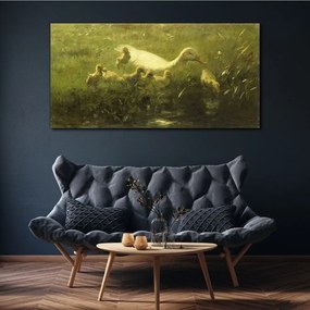 Obraz canvas Zvieratá kačica tráva príroda